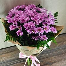 Букет цветов из:  Хризантемы #REPLACE_PRED# Каново