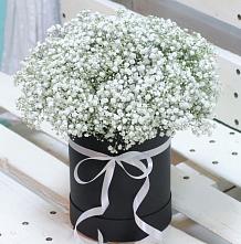 Цветочная композиция из Гипсофила в шляпной коробке #REPLACE_PRED# Каново