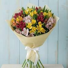 Букет цветов из:  Альстромерии #REPLACE_PRED# Каново