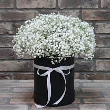 Цветочная композиция из Гипсофила в шляпной коробке в Каново