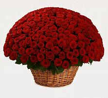 Премиум букет из: Розы #REPLACE_PRED# Каново